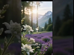 मेसो थेरेपी