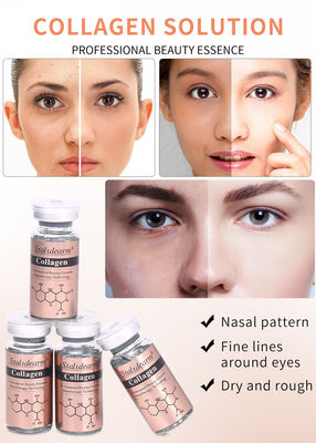 10ml प्राइवेट लेबल स्टैलिडेअरम कोलेजन मॉइस्चराइजिंग फर्मिंग एसेन्स एंटी एजिंग स्किनकेयर फेस विटामिन सी सीरम
